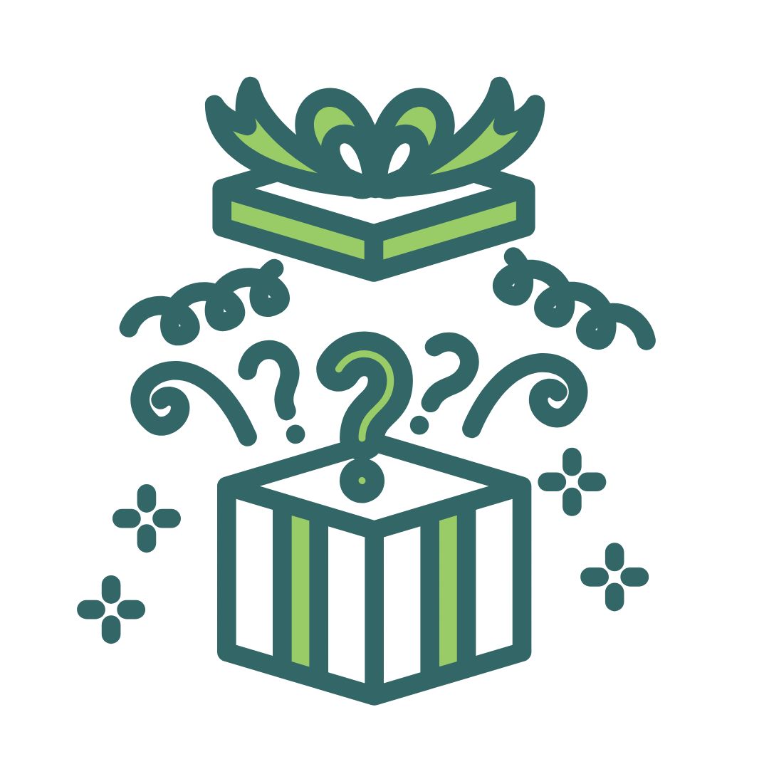 Mystery Christmas Gift