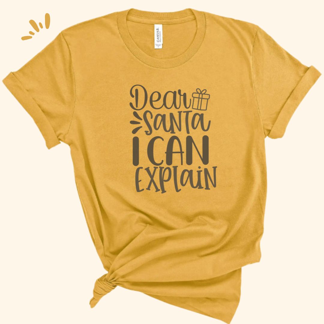 Dear Santa Tee