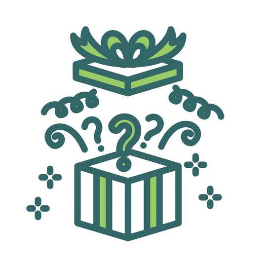 Mystery Christmas Gift